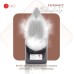 Afra Steam Iron Ceramic Coated Soleplate 350ml 2600W AF2600IRBG