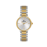 Daniel Klein Silver and Gold Stainless Steel Watch for Women DK.1.14100-5