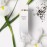 Elizabeth Arden White Tea for Women EDT 100 ml 04557331