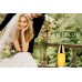 Estee Lauder Beautiful for Women EDP 75 ml 04586871
